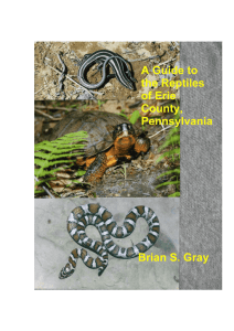 A Guide To The Reptiles Of Erie County, Pennsylvania Brian S. Gray