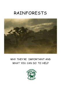 rainforests - Rainforest Concern