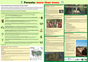 Forests: More than Trees - Convention on Biological Diversity