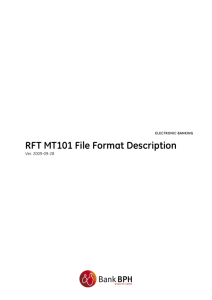 SWIFT MT101 File Format Description