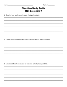 Digestion Study Guide HBS Lessons 2-7