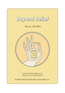 BEYOND BELIEF by AL De Silva