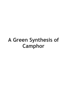 A Green Synthesis of Camphor