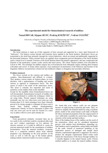 The experimental model for biomechanical research of midface