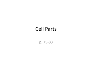 Cell Part Notes - Whitney High School