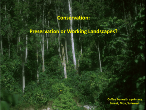 Conservation: Preservation or Working Landscapes?