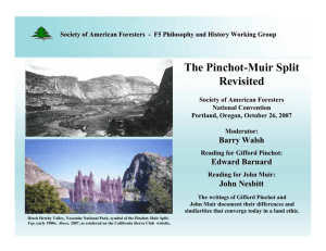 The Pinchot-Muir Split Revisited
