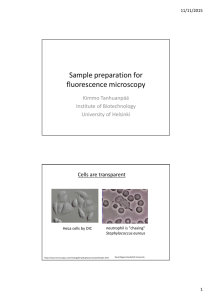 Sample preparation for fluorescence microscopy