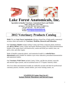 Lake Forest Anatomicals, Inc.