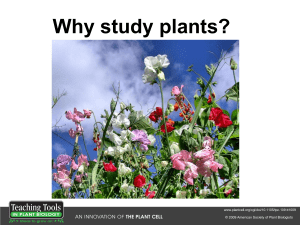 Why Study Plants?