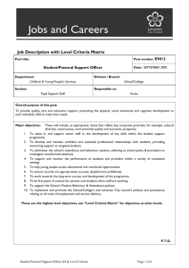 Job Description with Level Criteria Matrix