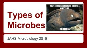 Types of Microbes