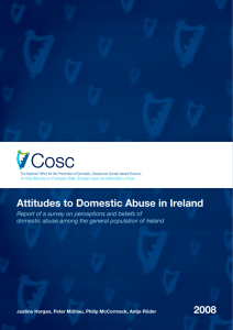 Attitudes to Domestic Abuse in Ireland