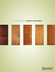veneer guidelines