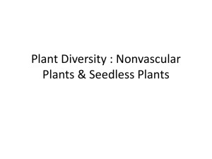 Plant Diversity : Nonvascular Plants & Seedless Plants