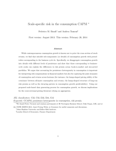 Scale-specific risk in the consumption CAPM