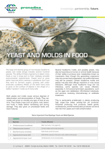 01.Yeast And Mold in Food