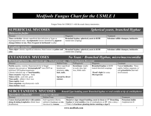 Medfools Fungus Chart for the USMLE I