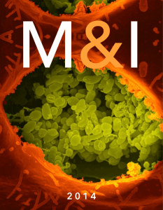 M&I 2014 (4.5 MB PDF) - Department of Microbiology & Immunology