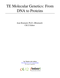 TE Molecular Genetics: From DNA to Proteins