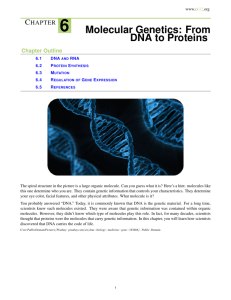 CHAPTER 6 Molecular Genetics: From DNA to Proteins