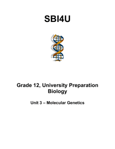 Grade 12, University Preparation Biology