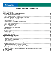 Fannie Mae Debt Securities Information