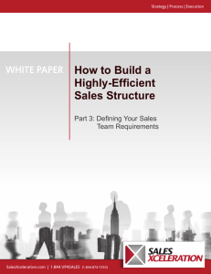 How to Build a Highly-Efficient Sales Structure