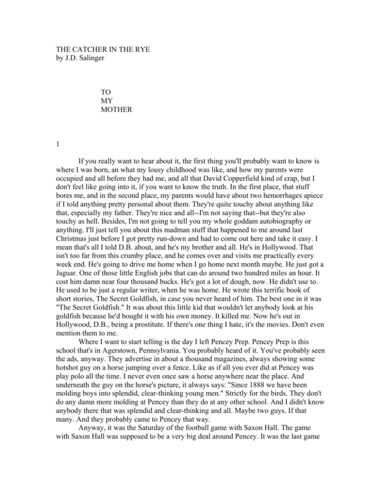 catcher in the rye essay pdf