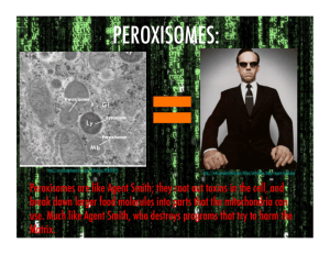 PEROXISOMES: