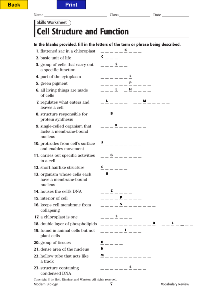 cell-parts-and-functions-worksheet-pdf-reviewmotors-co