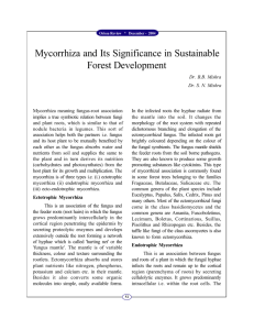 Mycorrhiza and Its Significance in Sustainable Forest