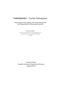 Conifer Pathosystem Heterobasidion - Epsilon Open Archive