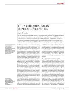 the x chromosome in population genetics