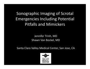 [2015.114] Sonographic Imaging of Scrotal Emergencies Including