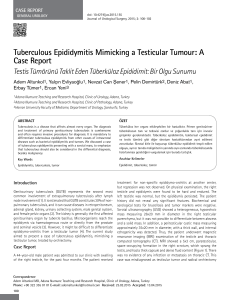 Tuberculous Epididymitis Mimicking a Testicular Tumour: A Case