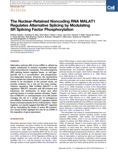 The Nuclear-Retained Noncoding RNA MALAT1 Regulates
