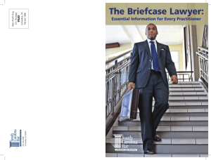 The Briefcase Lawyer: