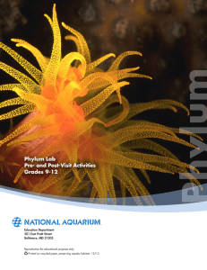 Phylum Lab - National Aquarium