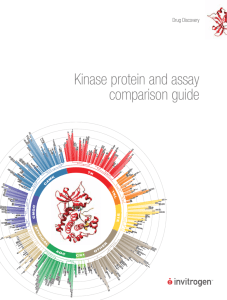 Kinase protein and assay comparison guide
