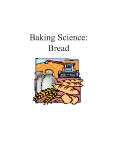 bread Baking Lab - National Festival of Breads