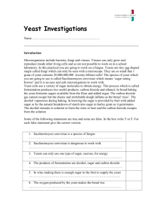 Yeast Investigations - Pharmachemical Ireland