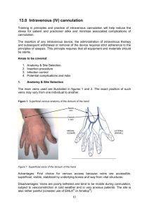 13.0 Intravenous (IV) cannulation