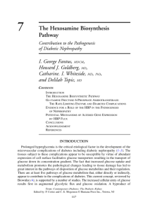 The Hexosamine Biosynthesis Pathway