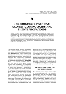 THE SHIKIMATE PATHWAY: AROMATIC AMINO ACIDS AND
