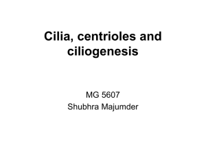6. Cilia and Flagella