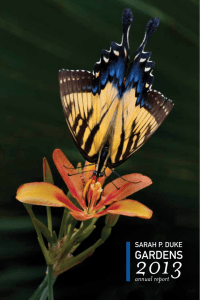 Annual Report 2013 - Sarah P. Duke Gardens
