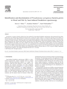 Identification and discrimination of Pseudomonas aeruginosa