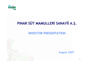 Earnings Presentation 2007