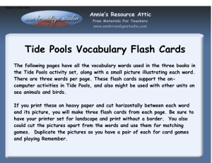 Tide Pools Vocabulary Flash Cards